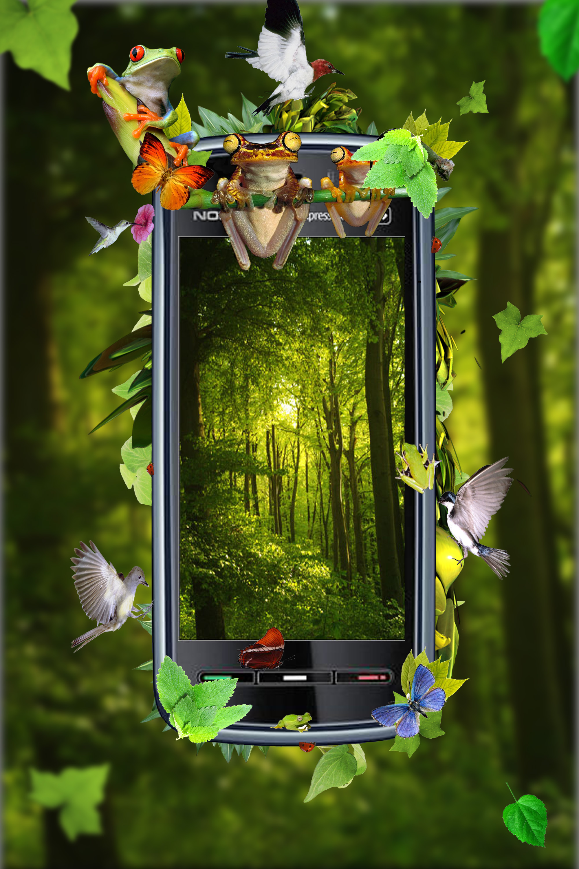 Nokia.jpg