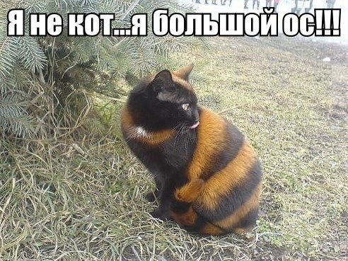 z8bVONM3zZ0.jpg