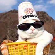 N1ck