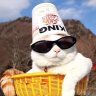 N1ck
